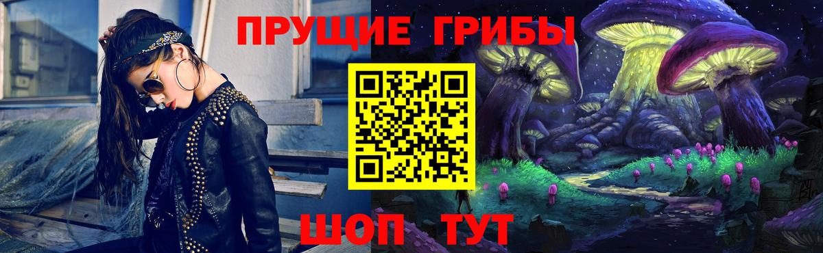 Камышин  Псилоцибиновые грибы мухоморы  Вход с VPN 